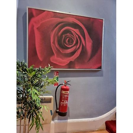 לונדון F304-Lovely 3Rd Flr Studio Fits 2 Near Hyde Park מראה חיצוני תמונה